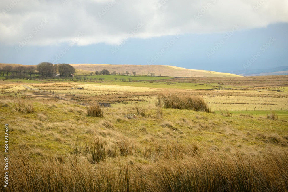 In the wilds of County Antrim, Northern Ireland In the wilds of County Antrim, Northern Ireland