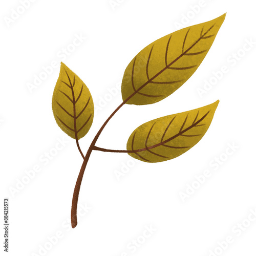 Autumn Leaves