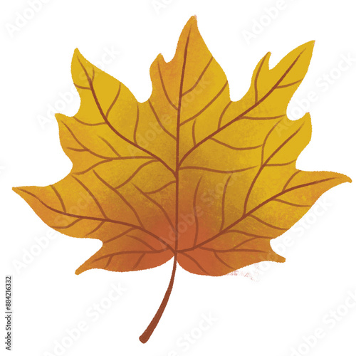 Autumn Leaves