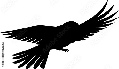 silhouette of a bird