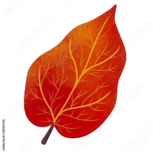 Autumn Leaves