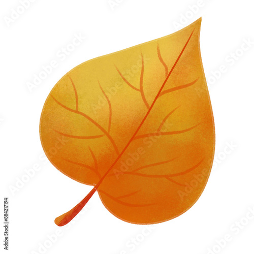 Autumn Leaves