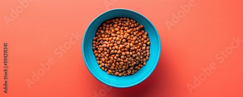 A bowl of Egyptian ful medames on a solid coral background. Top view space to copy.  photo