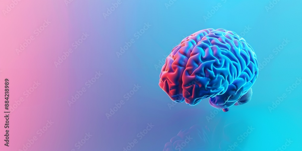 3D Rendered Human Brain with Gradient Background 3D Rendered Human Brain with Gradient Background