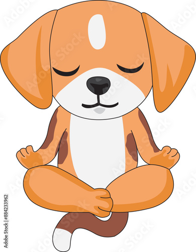 Cute dog practicing yoga meditation