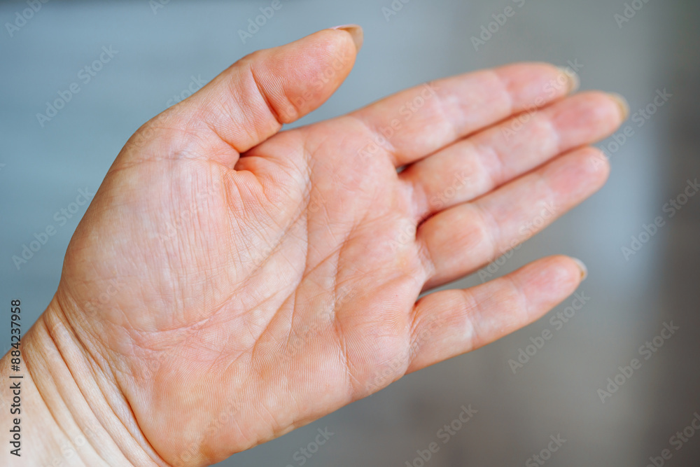 Fototapeta premium female hand palm with life lines