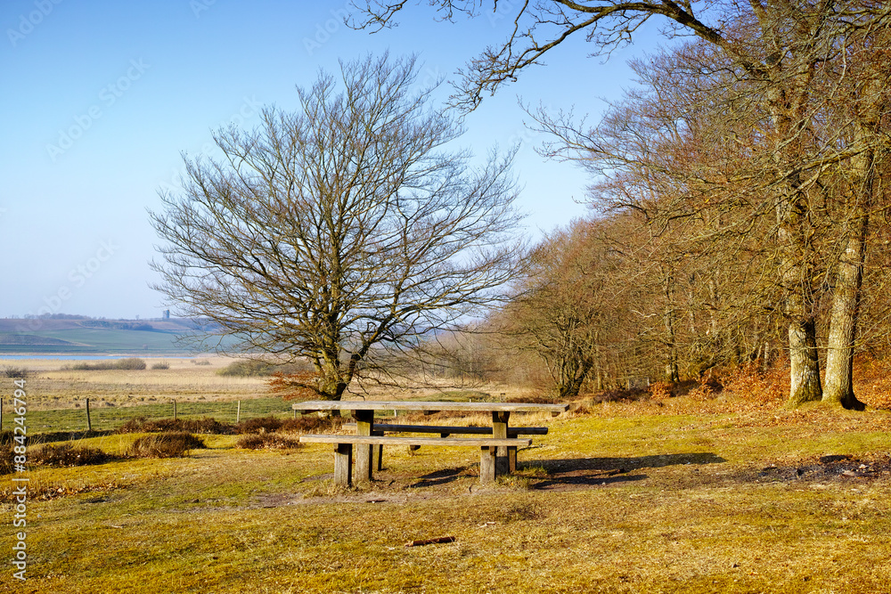 Nature, bench and landscape for relax with peace in outdoor, calm in winter for environment. Freedom, park and rest spot with scenic view in countryside for travel, chair for wellness in Norway Nature, bench and landscape for relax with peace in outdoor, calm in winter for environment. Freedom, park and rest spot with scenic view in countryside for travel, chair for wellness in Norway