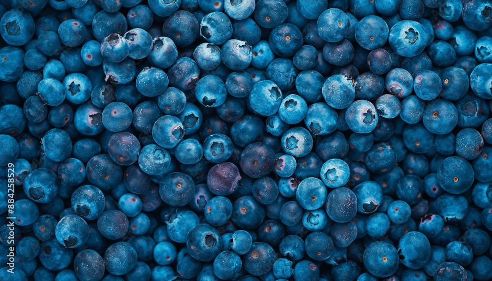 Fresh blueberries background with copy space for your text. Border design. Vegan and vegetarian concept. Macro texture of blueberry berries. Summer healthy food. Banner 