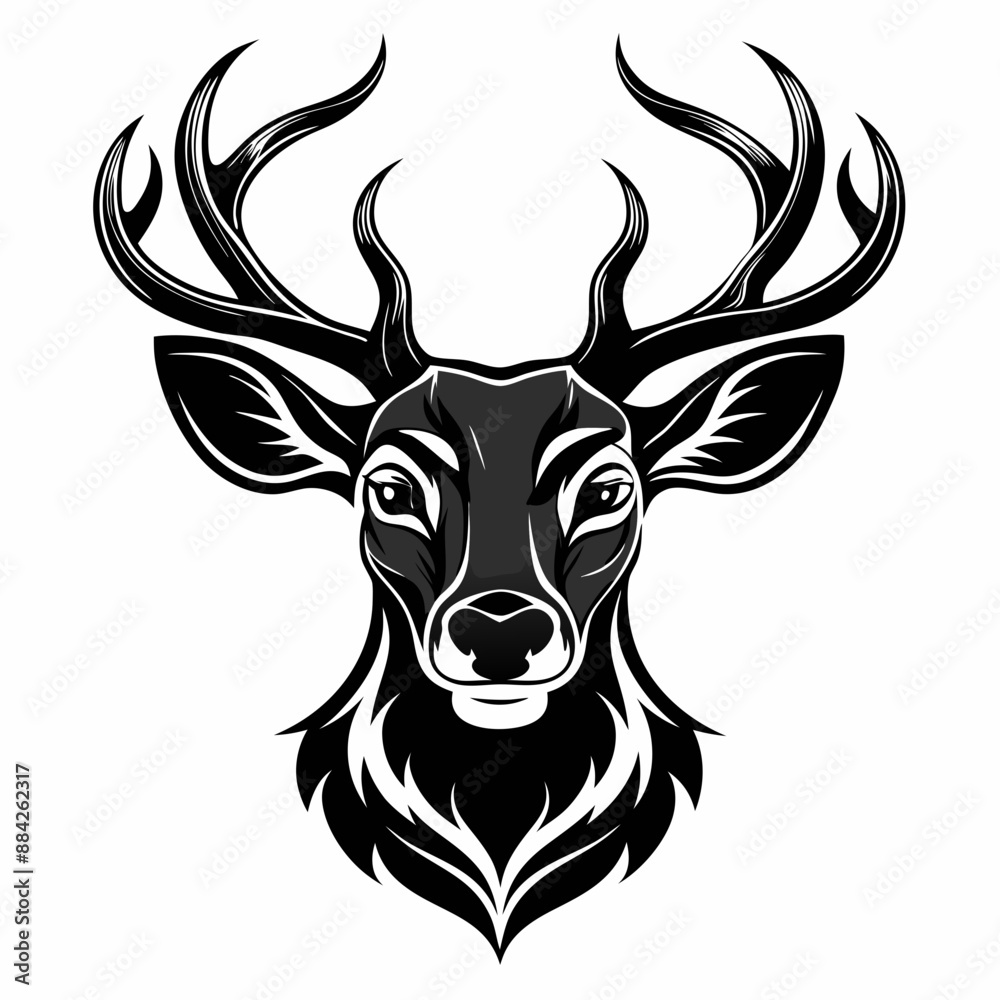 Fototapeta premium Dear Head