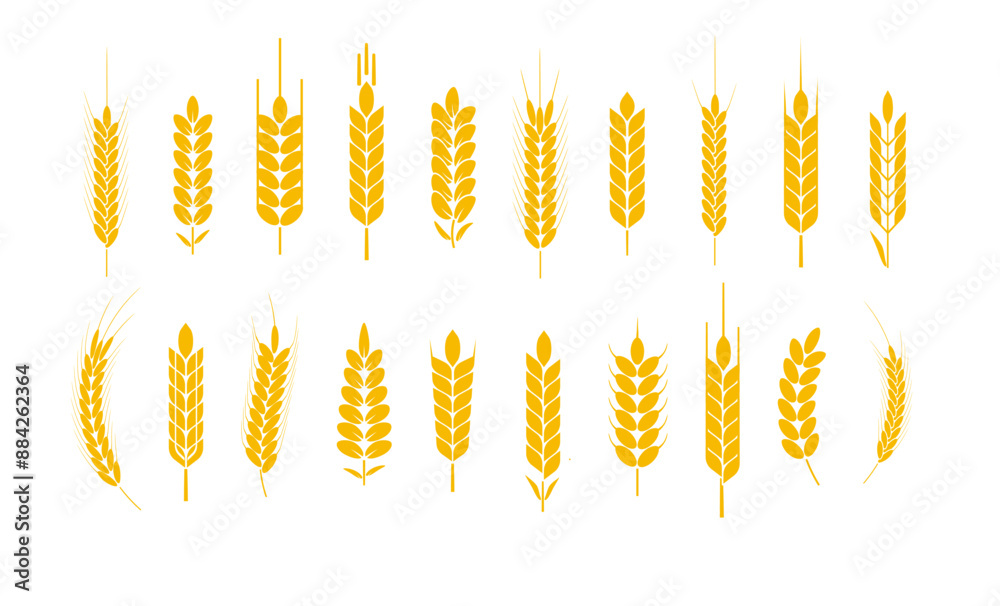 Wheat and rye logo ears. Barley rice grains and elements for beer or organic agricultural food. Vector Wheat and rye logo ears. Barley rice grains and elements for beer or organic agricultural food. Vector
