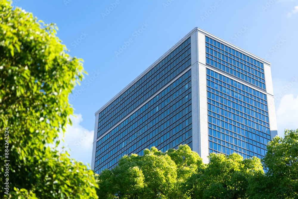 Green tree and office building. Green tree and office building.