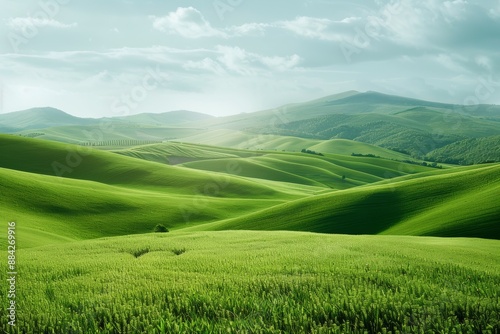 Beautiful natural background with green field and blue sky