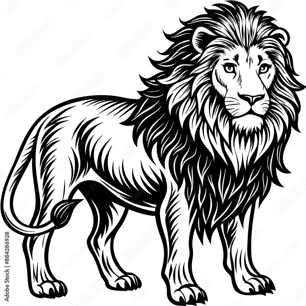 Obraz premium Lion Vector