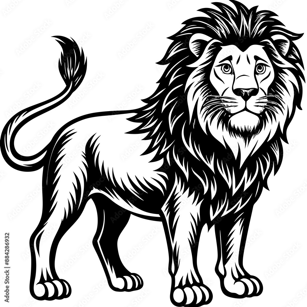 Obraz premium Lion Vector