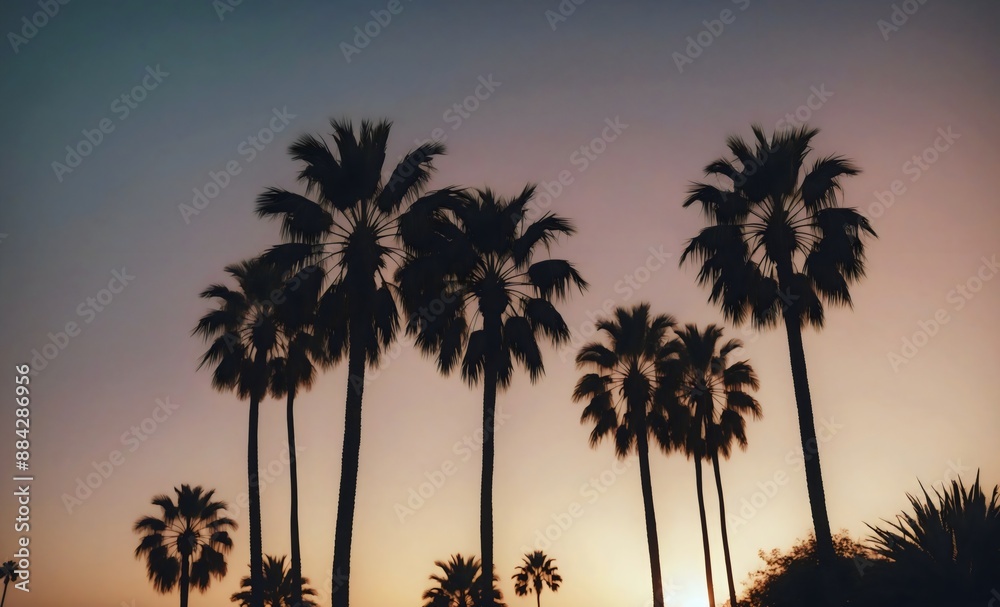Palm trees looking tall and leaves silhouetted against a vibrant sunset in California background, vintage style, beauty of the city as day turns to night Palm trees looking tall and leaves silhouetted against a vibrant sunset in California background, vintage style, beauty of the city as day turns to night