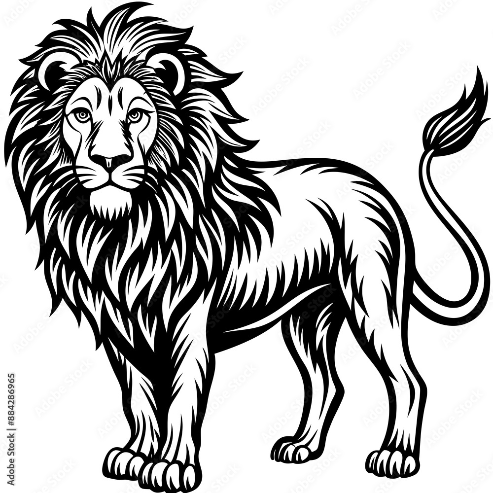Lion Vector Lion Vector