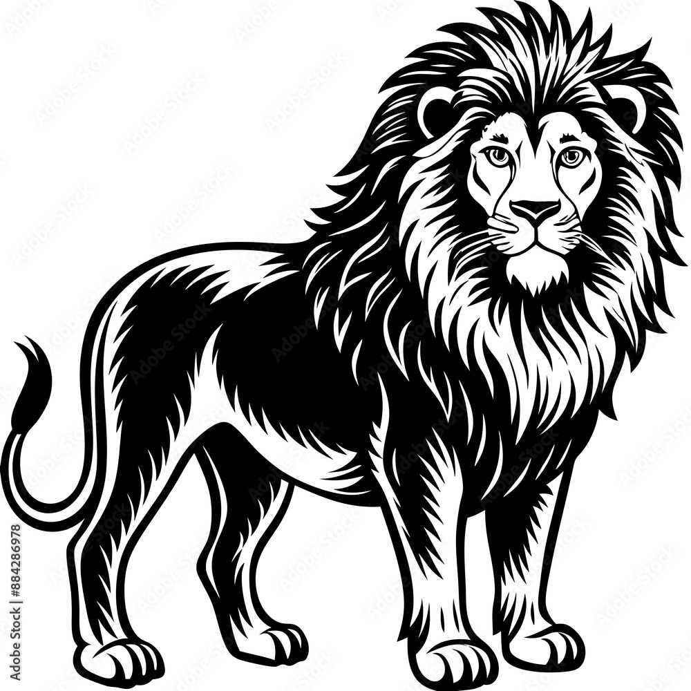 Lion Vector Lion Vector