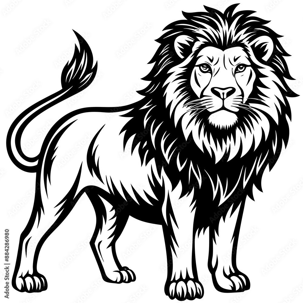 Obraz premium Lion Vector