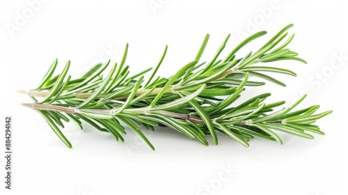 Fresh rosemary isolated on white