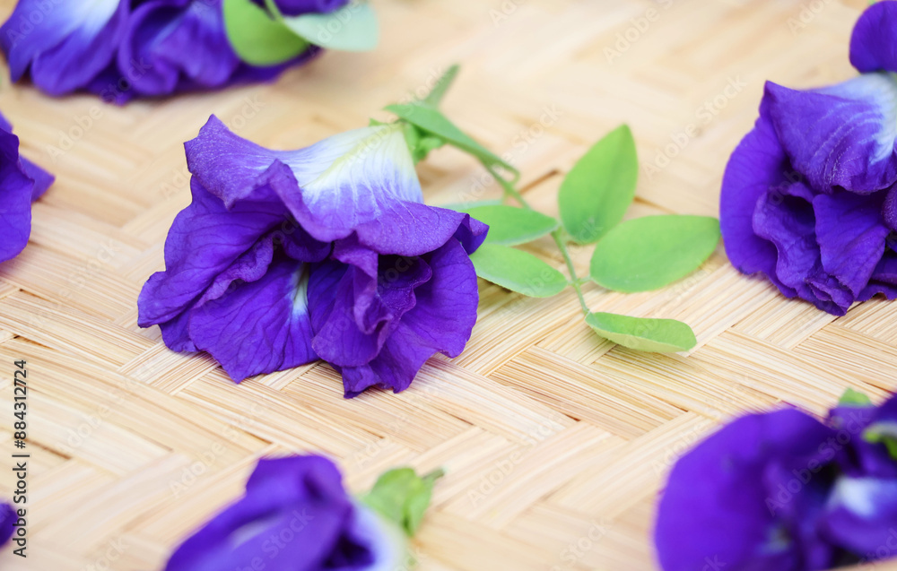 clitoria ternated purple flowers on leafy branches In a woven wooden tray together with many other flowers.
clitoria ternated purple flowers on leafy branches In a woven wooden tray together with many other flowers.
