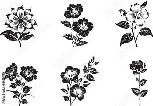 black and white flowers vector image