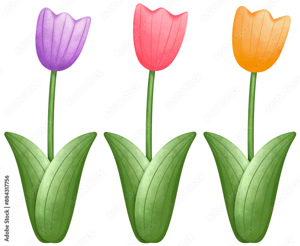 blooming flowers blooming flowers