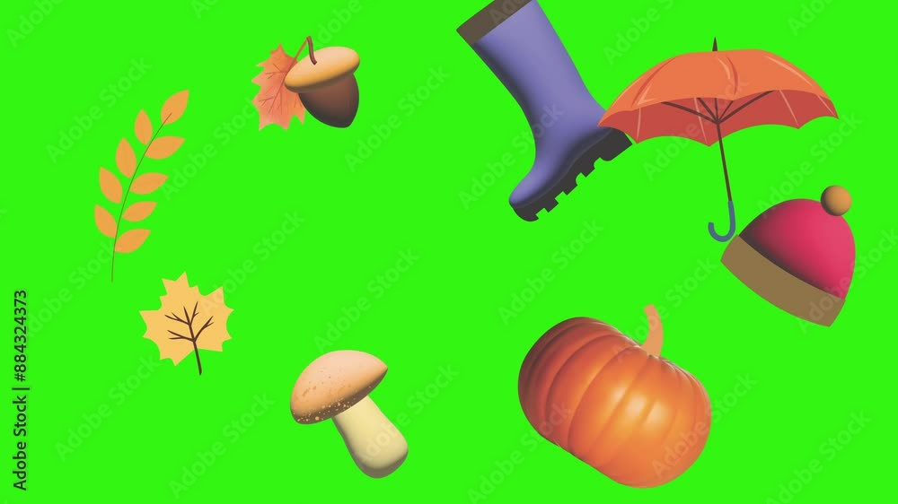 Group of autumn elements objects animation on green screen Group of autumn elements objects animation on green screen