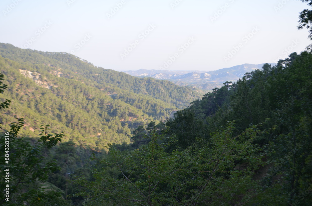 Mountain view full of trees, light and shadows Mountain view full of trees, light and shadows