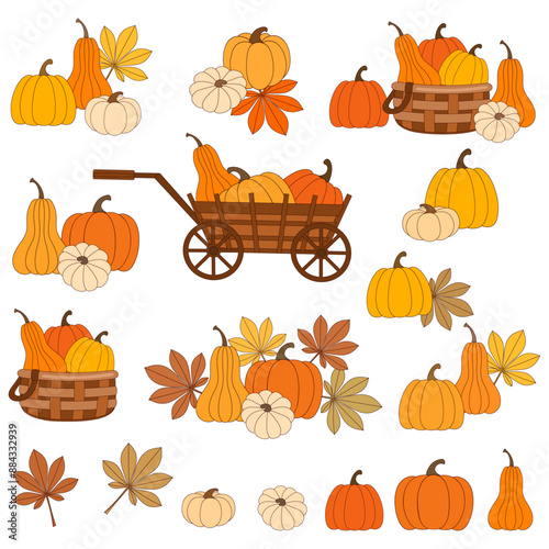 Autumn pumpkin harvest and Thanksgiving celebration concept vector design elements