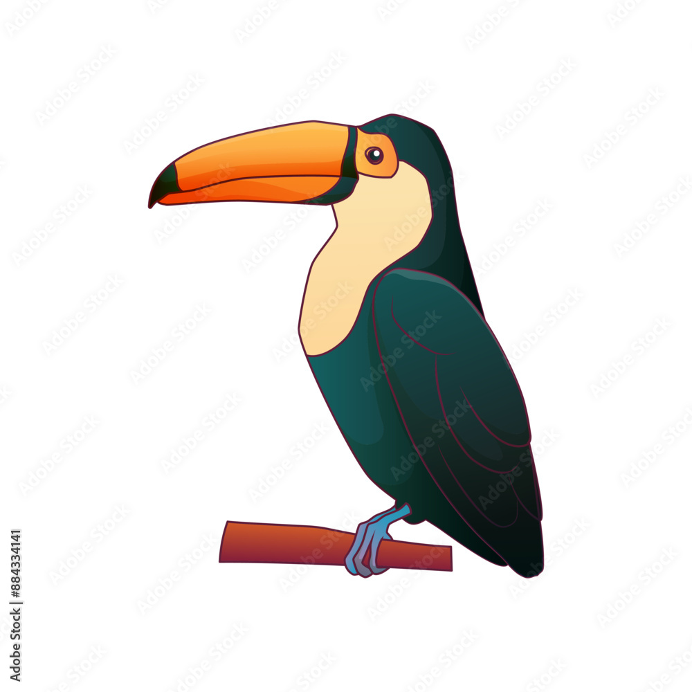 Obraz premium Vector illustration of tropical toucan bird isolated on white background. Ramphastos bird