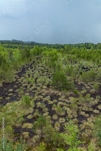Peat bog near Soumarsky most (Soumarske raseliniste), Nation park Sumava, Czech Republic photo