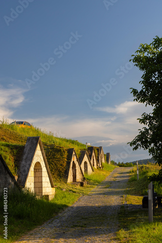 Gombos-hegyi pincesor in Hercegkut, UNESCO site, Great Plain, North Hungary photo