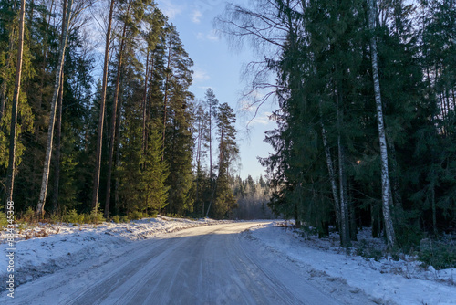 
country road in a bend in the winter forest