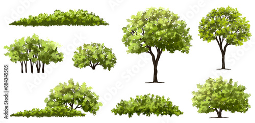 Vector of tree and shrub site view isolated on white background ,watercolor tree elevation for landscape concept,environment panorama scene,eco design,meadow for spring