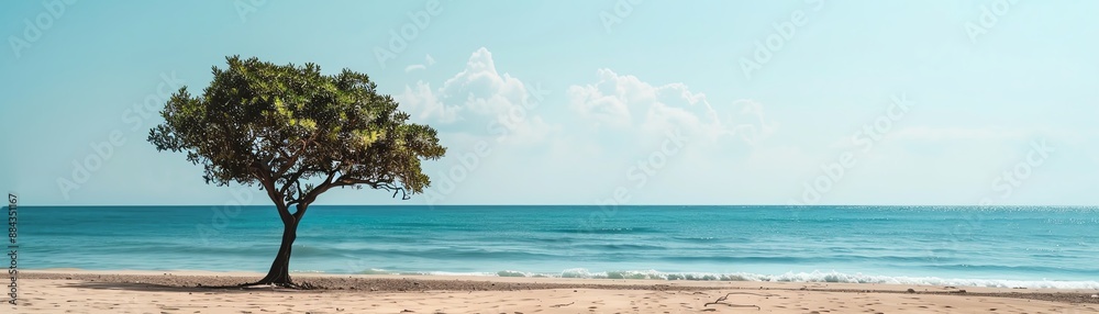 A beautiful seascape with a single tree on the beach. A beautiful seascape with a single tree on the beach.