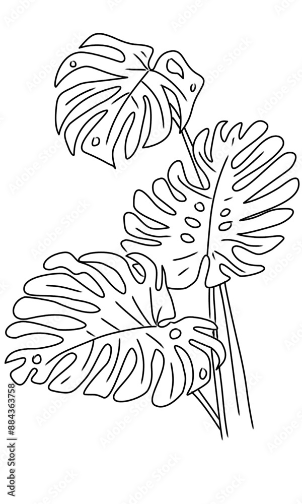 Fototapeta premium Elements illustration stamp decoration plant flower