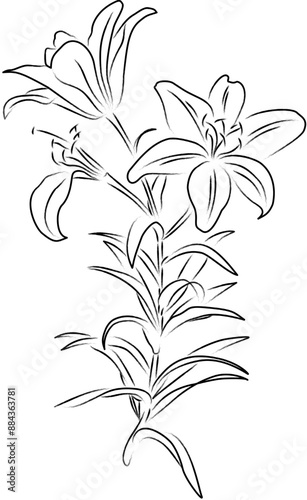 Elements illustration stamp decoration plant flower