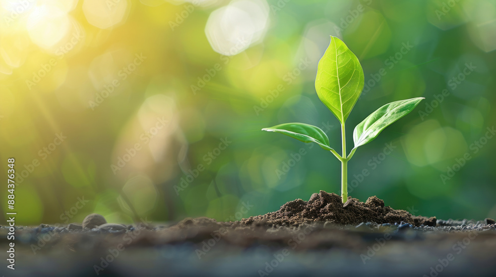 Motivational success quotes concept with copy space, focused objects, and deep depth of field. Motivational success quotes concept with copy space, focused objects, and deep depth of field.