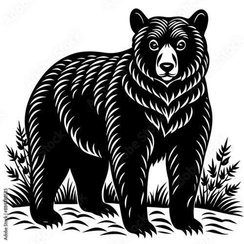 illustration of a bear,animal, vector, tiger, head,The bear is standing stoically, illustration, wild, tattoo, black, mammal, wolf, 