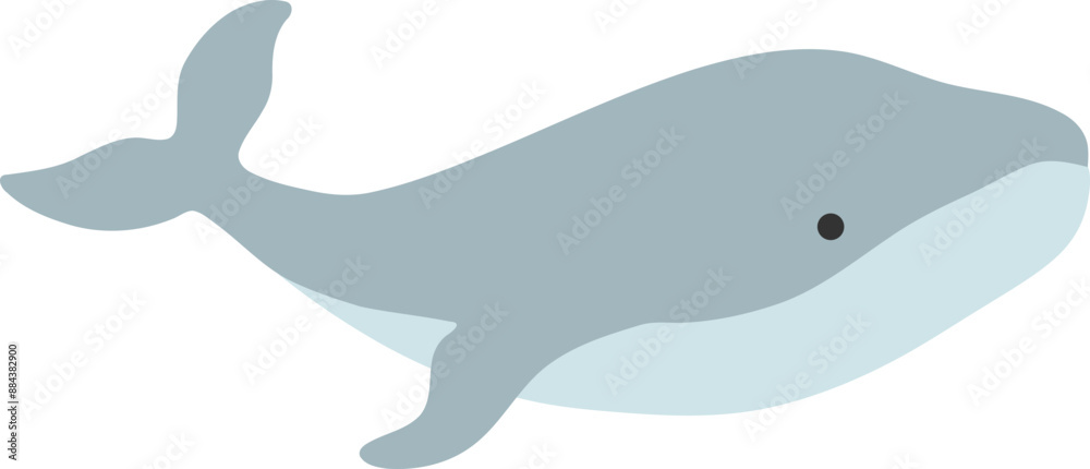 Whale Vector Illustration Whale Vector Illustration