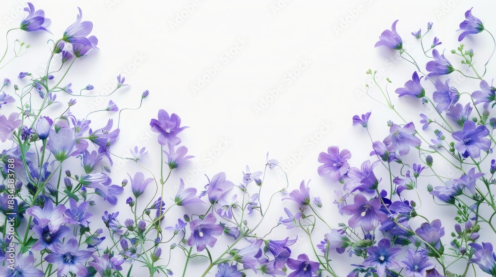 Tranquil Floral Frame with Campanula, Delicate Bellflower Edges on Clean White, Purple and Blue Enchantment Tranquil Floral Frame with Campanula, Delicate Bellflower Edges on Clean White, Purple and Blue Enchantment