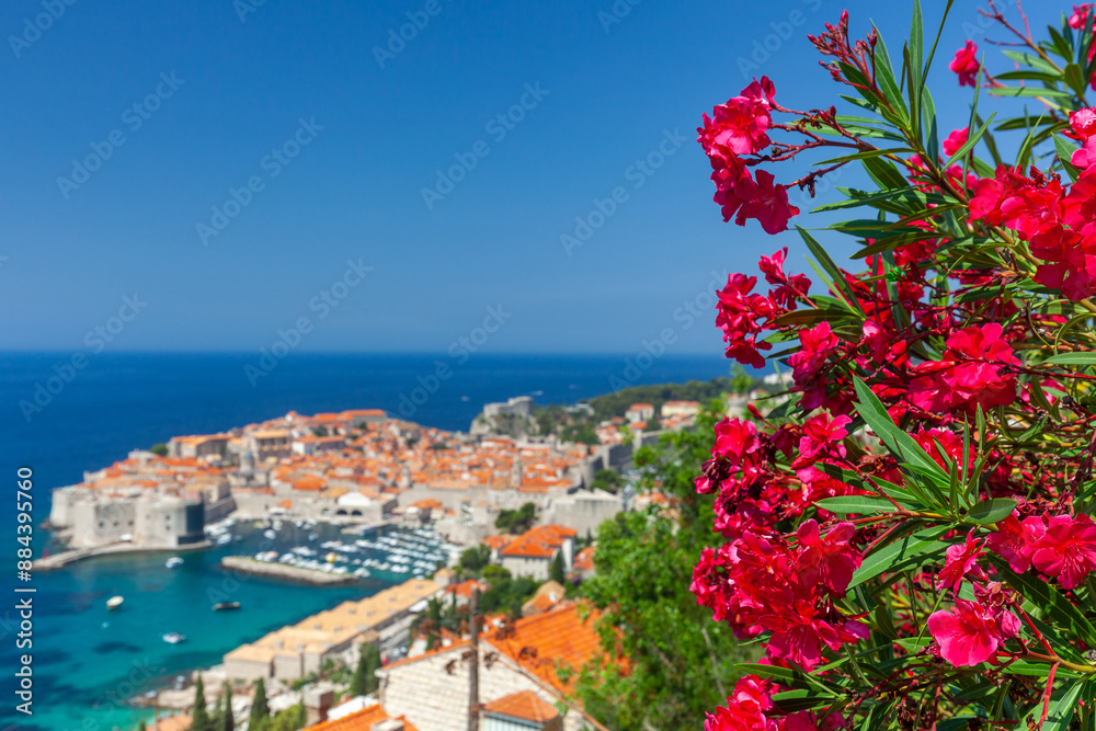 Dubrovnik historical harbor and old town from above. Top tourist destination in Croatia country, Dalmatia region