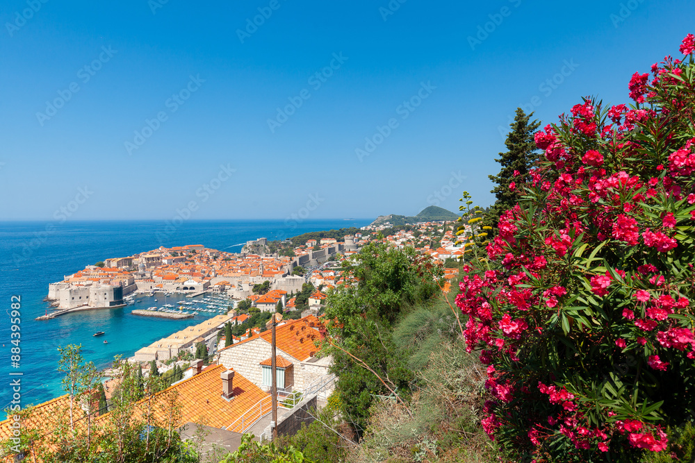 Dubrovnik historical harbor and old town from above. Top tourist destination in Croatia country, Dalmatia region