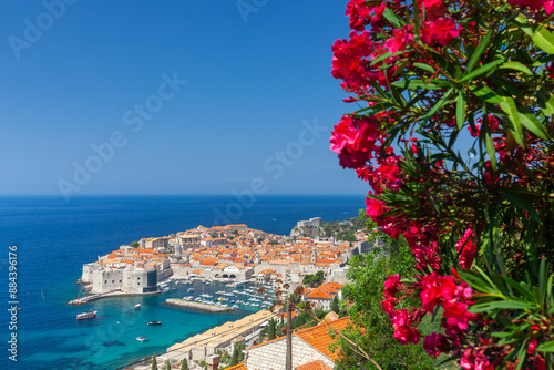 Dubrovnik historical harbor and old town from above. Top tourist destination in Croatia country, Dalmatia region