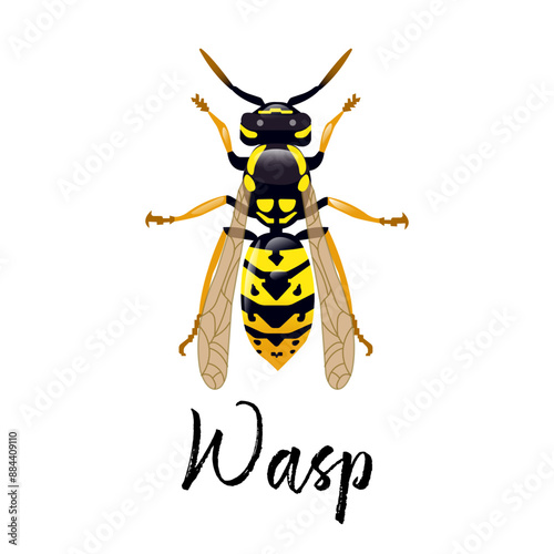 Realistic design of a wasp on a white background. Isolated design. Bright, yellow wasp with highlights. As a separate element or as a logo design. Insect