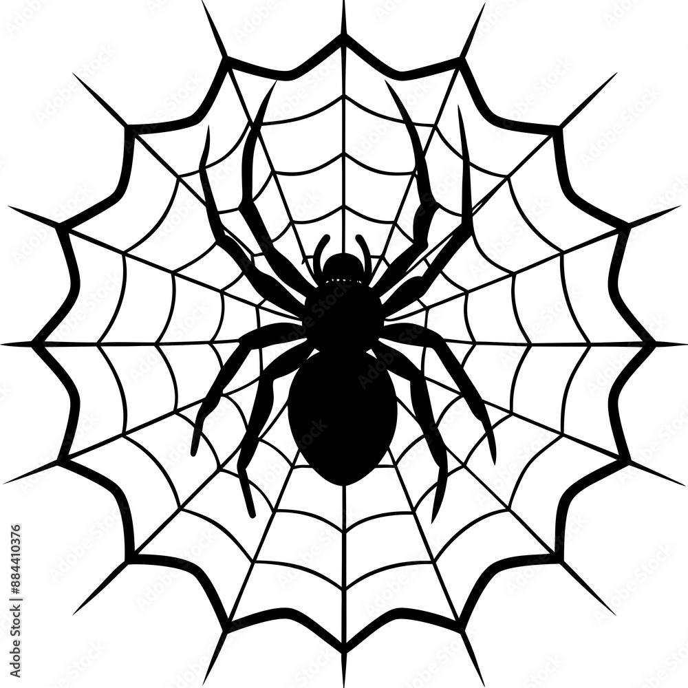 Fototapeta premium spider, web, halloween, insect, vector, illustration