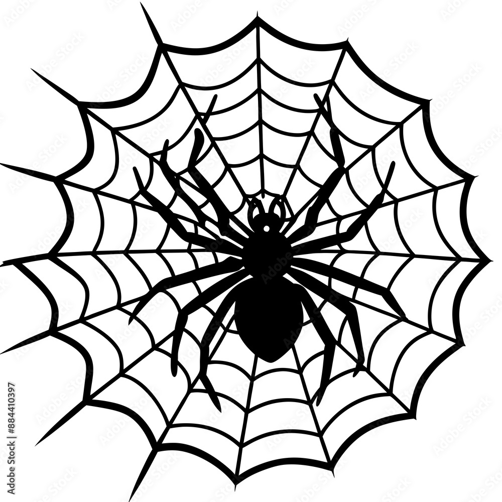 Fototapeta premium spider, web, halloween, insect, vector, illustration