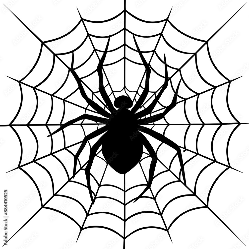 Fototapeta premium spider, web, halloween, insect, vector, illustration