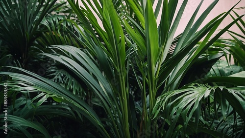 Exotic tropical palm leaves in vibrant green hues