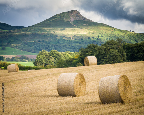 Summer Harvest-North Yorkshire-UK